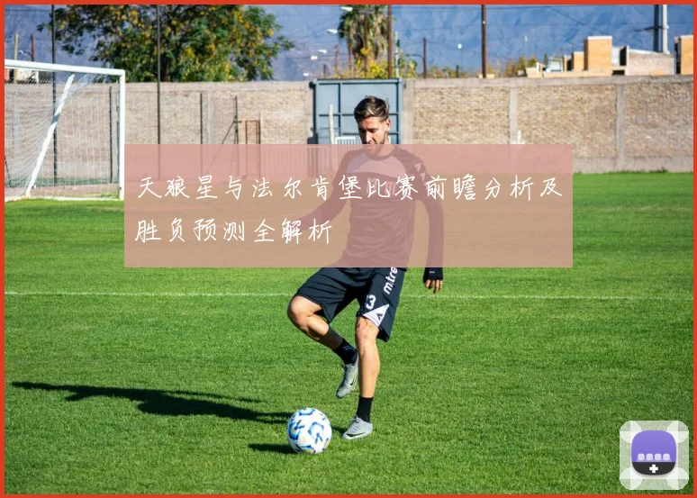 天狼星与法尔肯堡比赛前瞻分析及胜负预测全解析