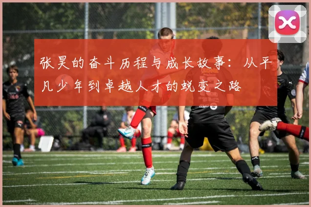 张昊的奋斗历程与成长故事：从平凡少年到卓越人才的蜕变之路