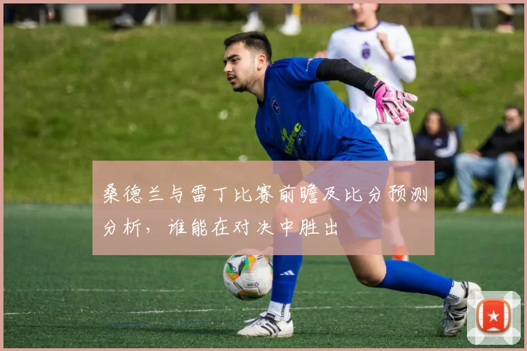 桑德兰与雷丁比赛前瞻及比分预测分析，谁能在对决中胜出