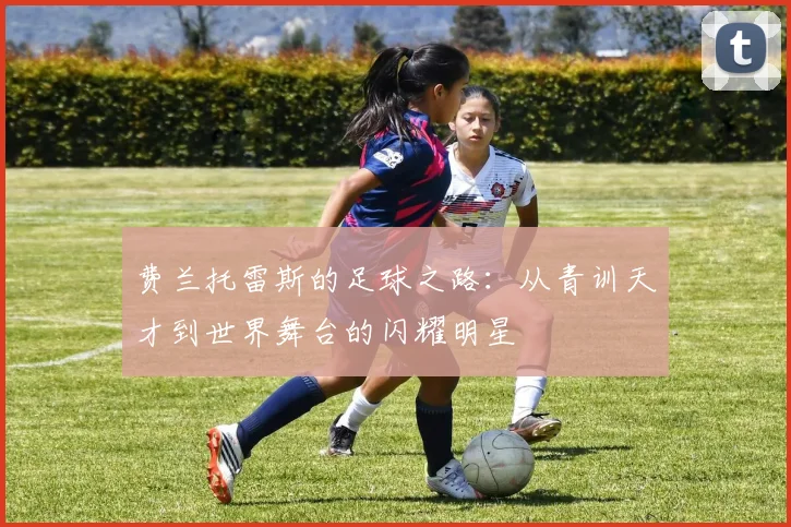 费兰托雷斯的足球之路：从青训天才到世界舞台的闪耀明星