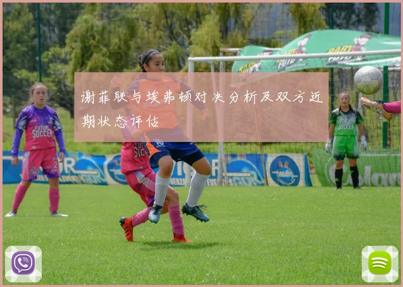 谢菲联与埃弗顿对决分析及双方近期状态评估