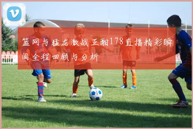 篮网与猛龙激战正酣178直播精彩瞬间全程回顾与分析