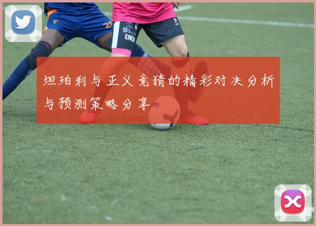 坦珀利与正义竞猜的精彩对决分析与预测策略分享